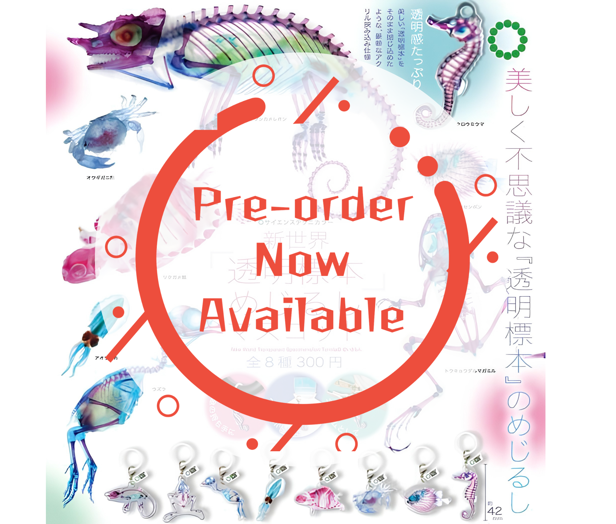 【11月予約】STC 新世界『透明標本』めじるしマスコット［全8種セット］