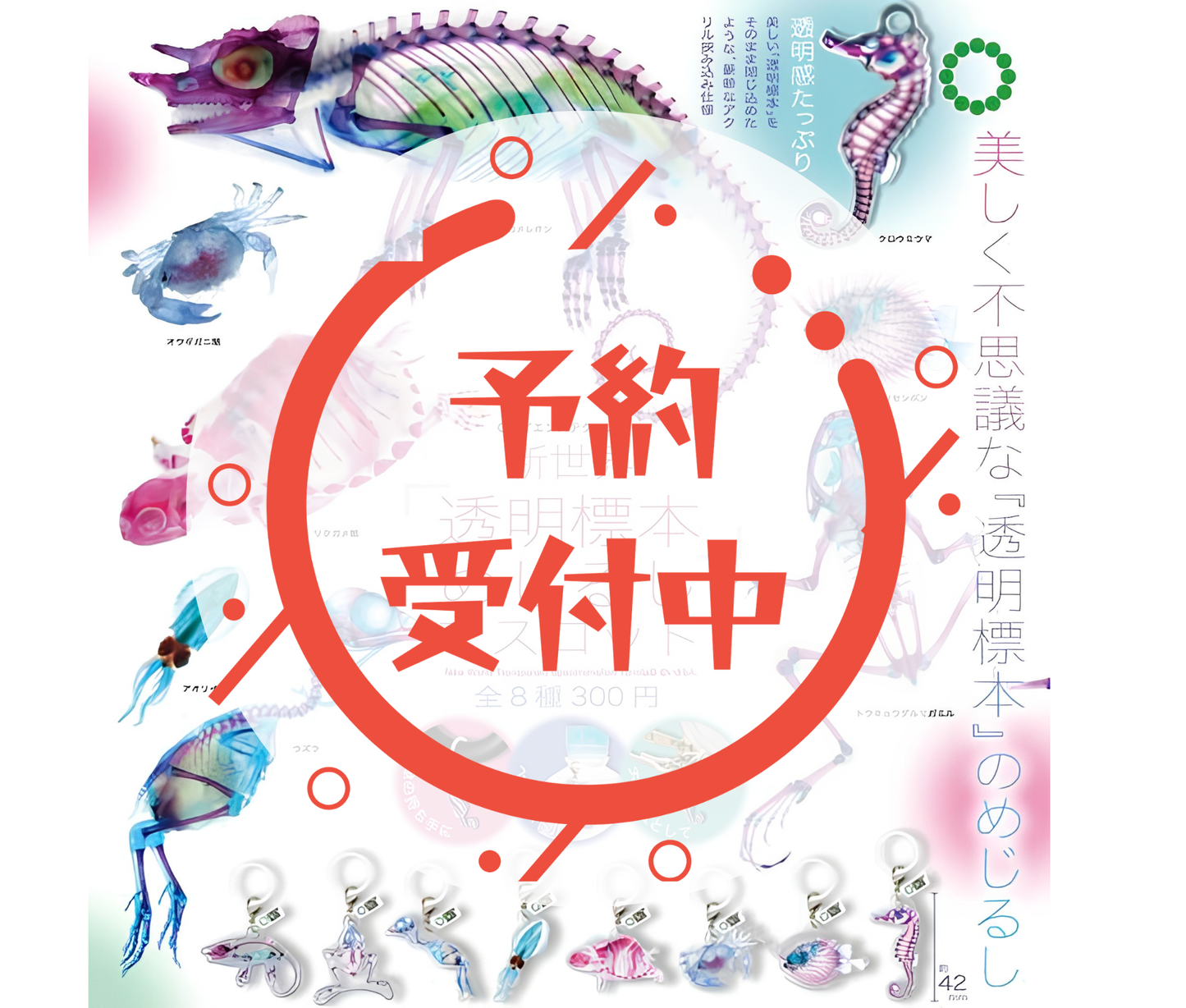 【11月予約】STC 新世界『透明標本』めじるしマスコット［全8種セット］