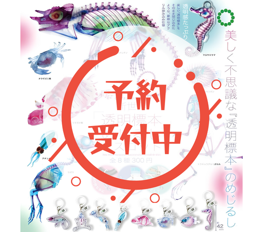 【11月予約】STC 新世界『透明標本』めじるしマスコット［全8種セット］