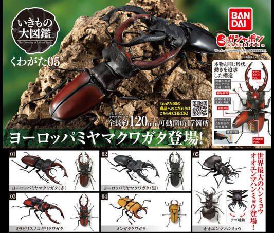 いきもの大図鑑 くわがた02 全4種① いきもの大図鑑 くわがた02 全4 いきもの大図鑑 くわがた02 全4種① いきもの大図鑑 くわがた02 全4