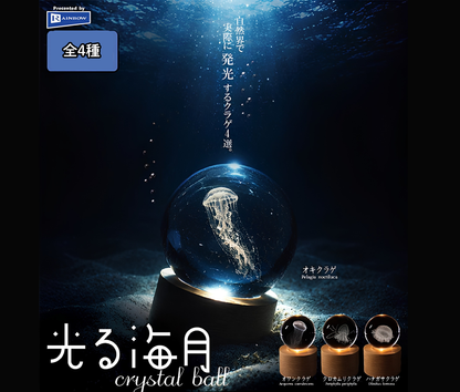 【11月予約】光る海月crystal ball［全4種セット］