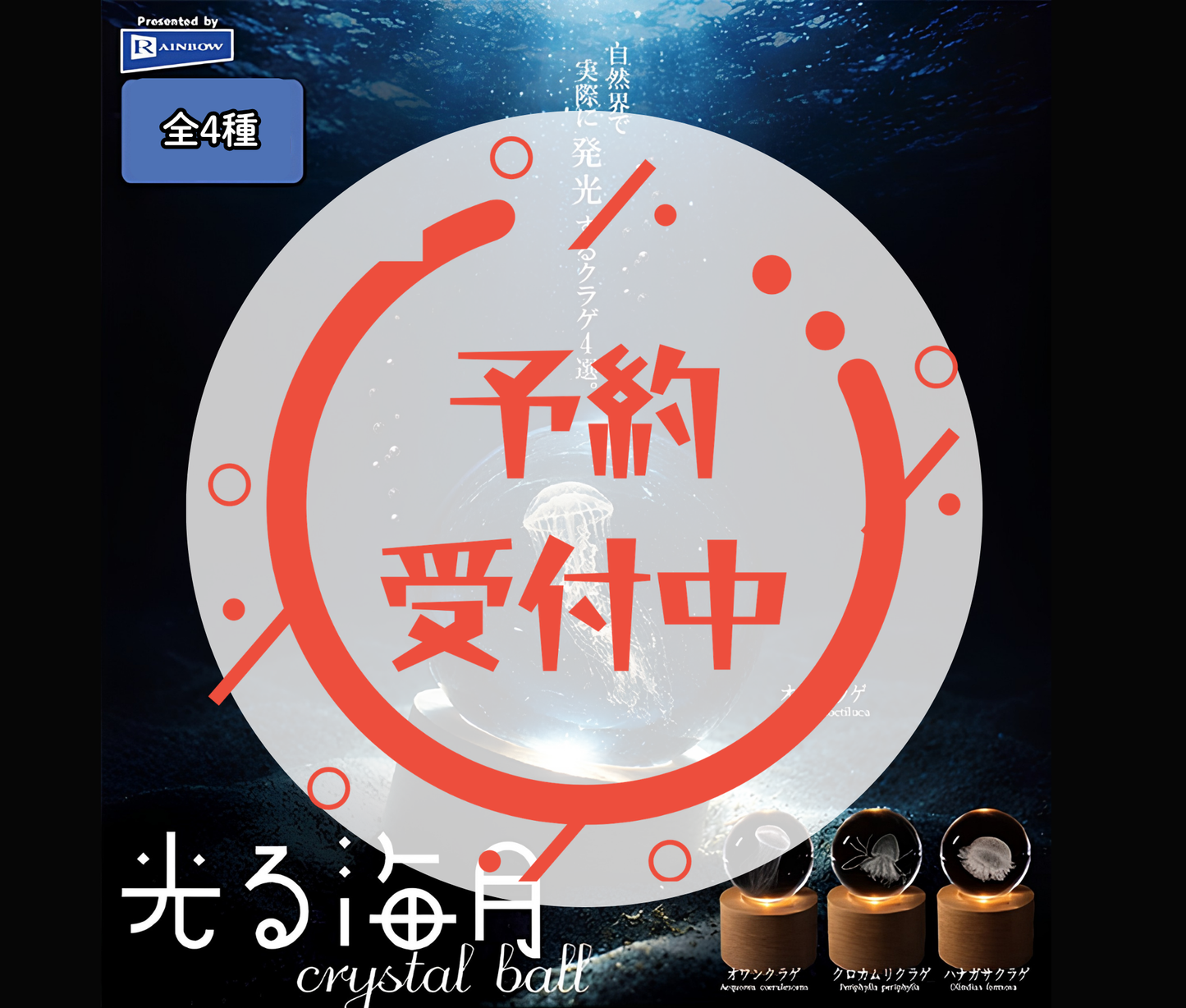 【11月予約】光る海月crystal ball［全4種セット］