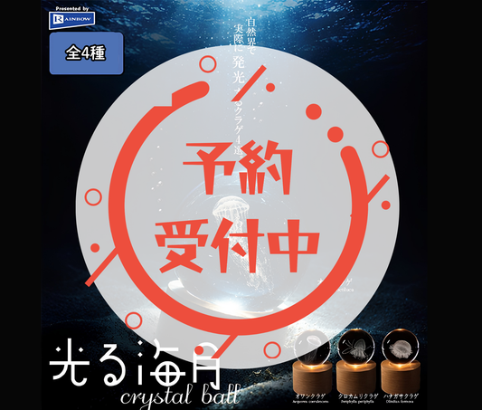 【11月予約】光る海月crystal ball［全4種セット］