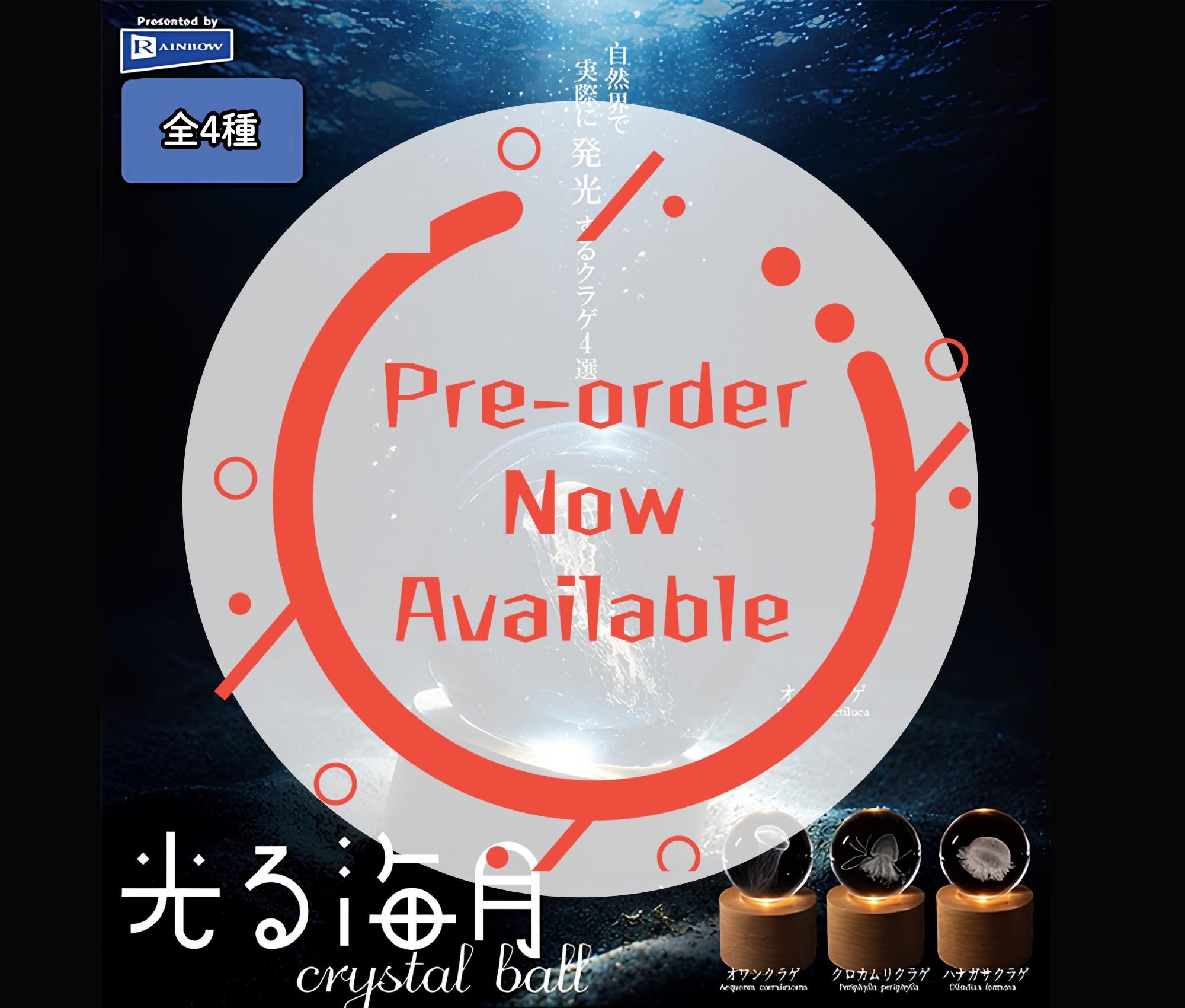 【11月予約】光る海月crystal ball［全4種セット］