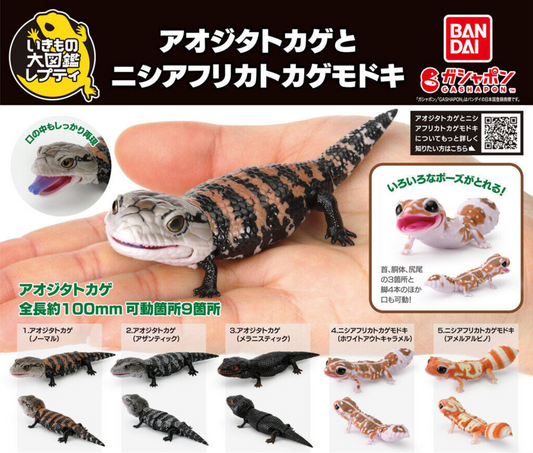 いきもの大図鑑 レプティ アオジタトカゲとニシアフリカトカゲモドキ [全5種セット]