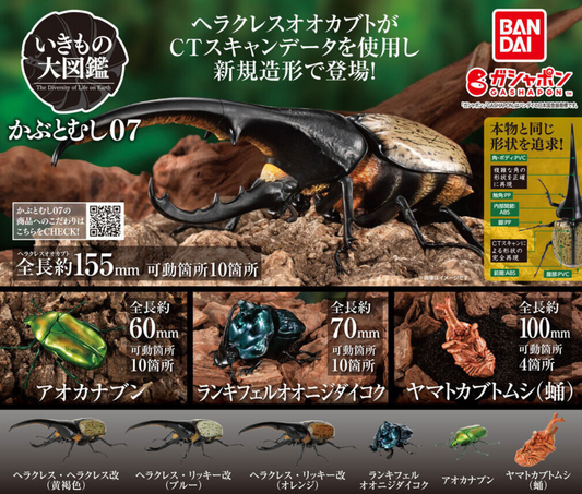 Set lengkap tiga spesies dalam satu frame – koleksi gashapon