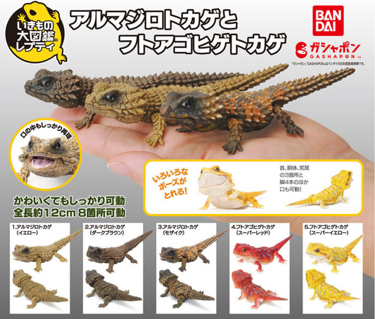 いきもの大図鑑 レプティ アルマジロトカゲとフトアゴヒゲトカゲ[全5種セット]