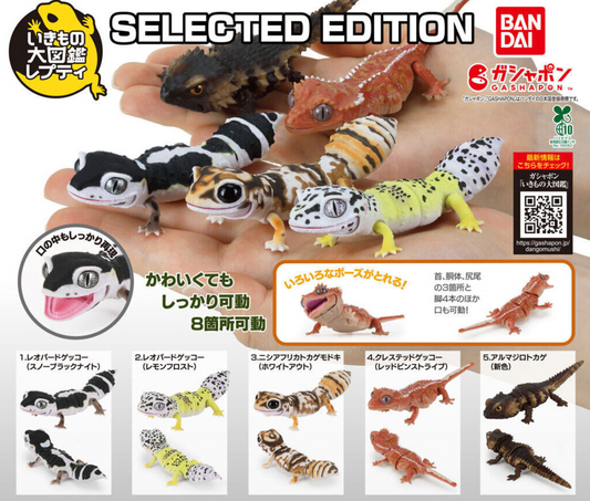 いきもの大図鑑レプティSELECTED EDITION[全5種セット]