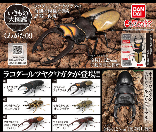 いきもの大図鑑 くわがた 09 [全6種セット]