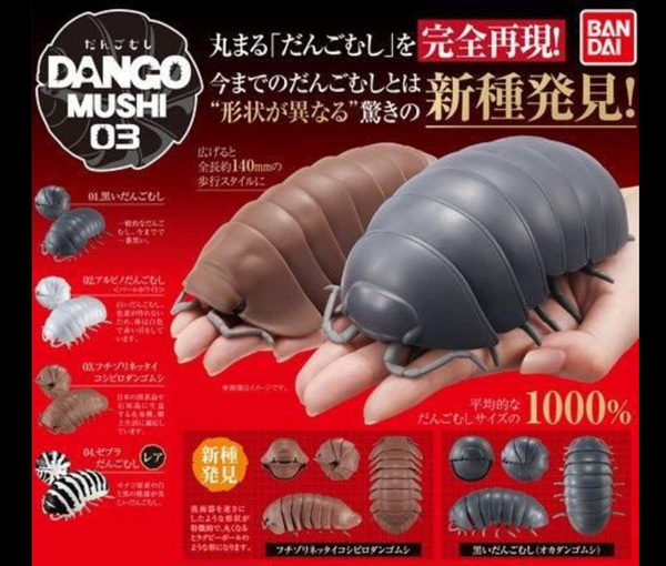 だんごむし 03 フチゾリネッタイコシビロダンゴムシ編 [全4種セット] – ガチャ蔵 -GACHAZOU-