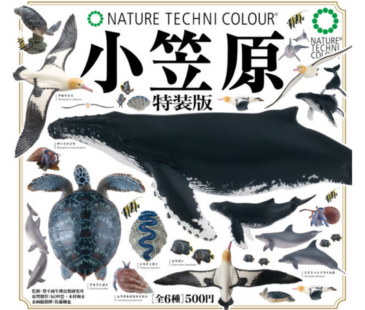 NTC 小笠原 特装版［全6種セット］