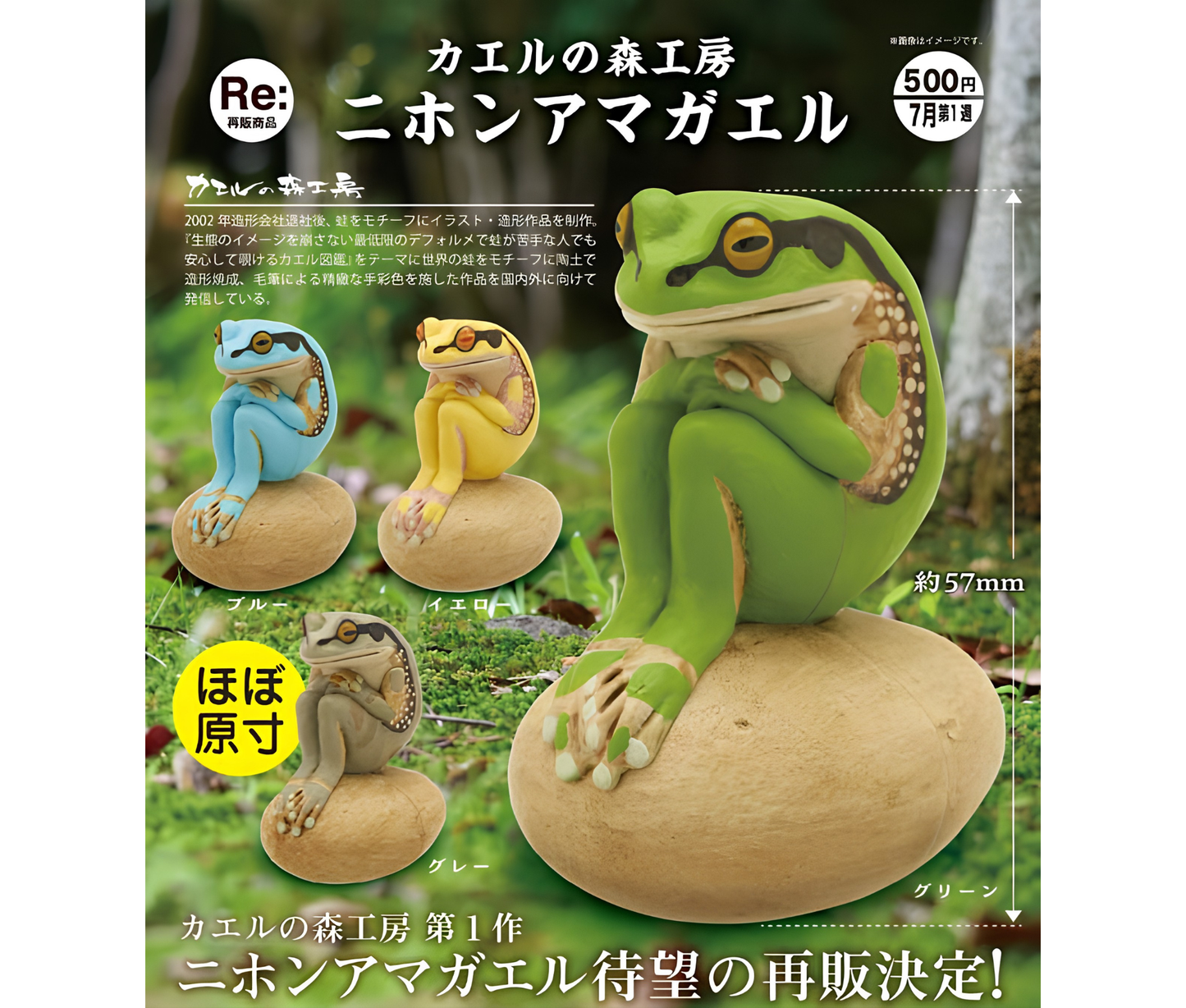 【8月予約】《再販》カエルの森工房 二ホンアマガエル［全4種セット］