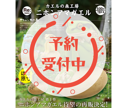 【8月予約】《再販》カエルの森工房 二ホンアマガエル［全4種セット］