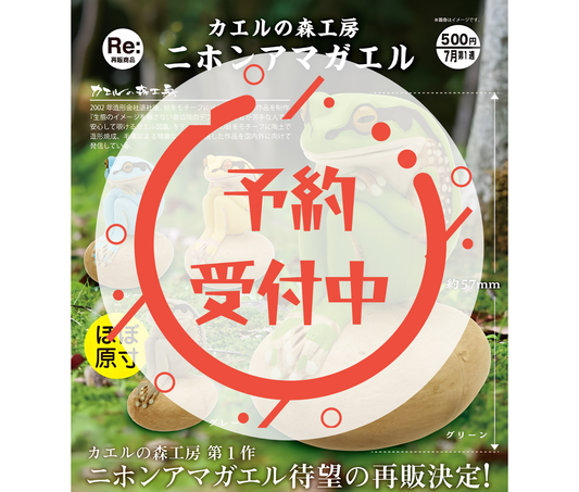 【8月予約】《再販》カエルの森工房 二ホンアマガエル［全4種セット］