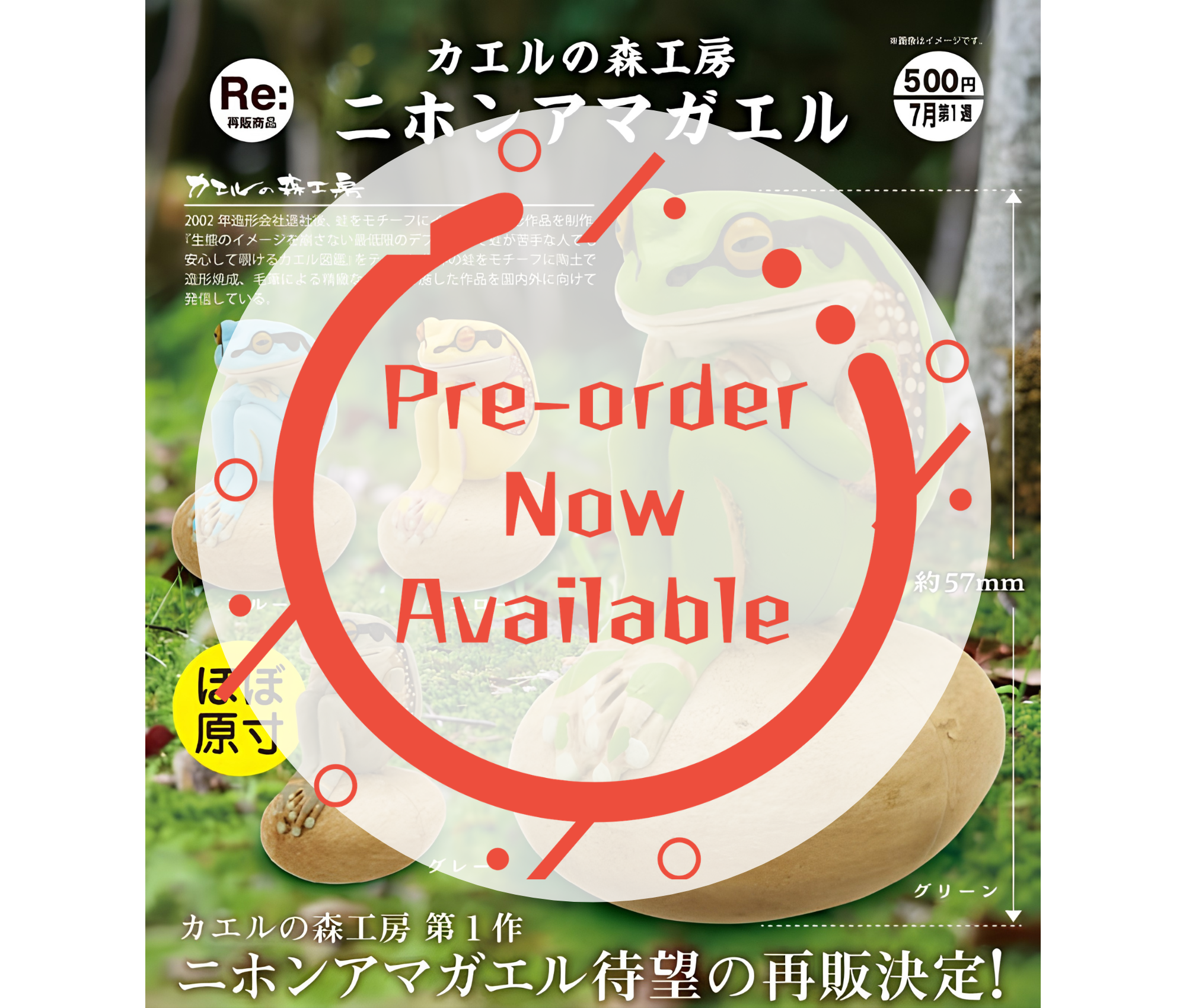【8月予約】《再販》カエルの森工房 二ホンアマガエル［全4種セット］