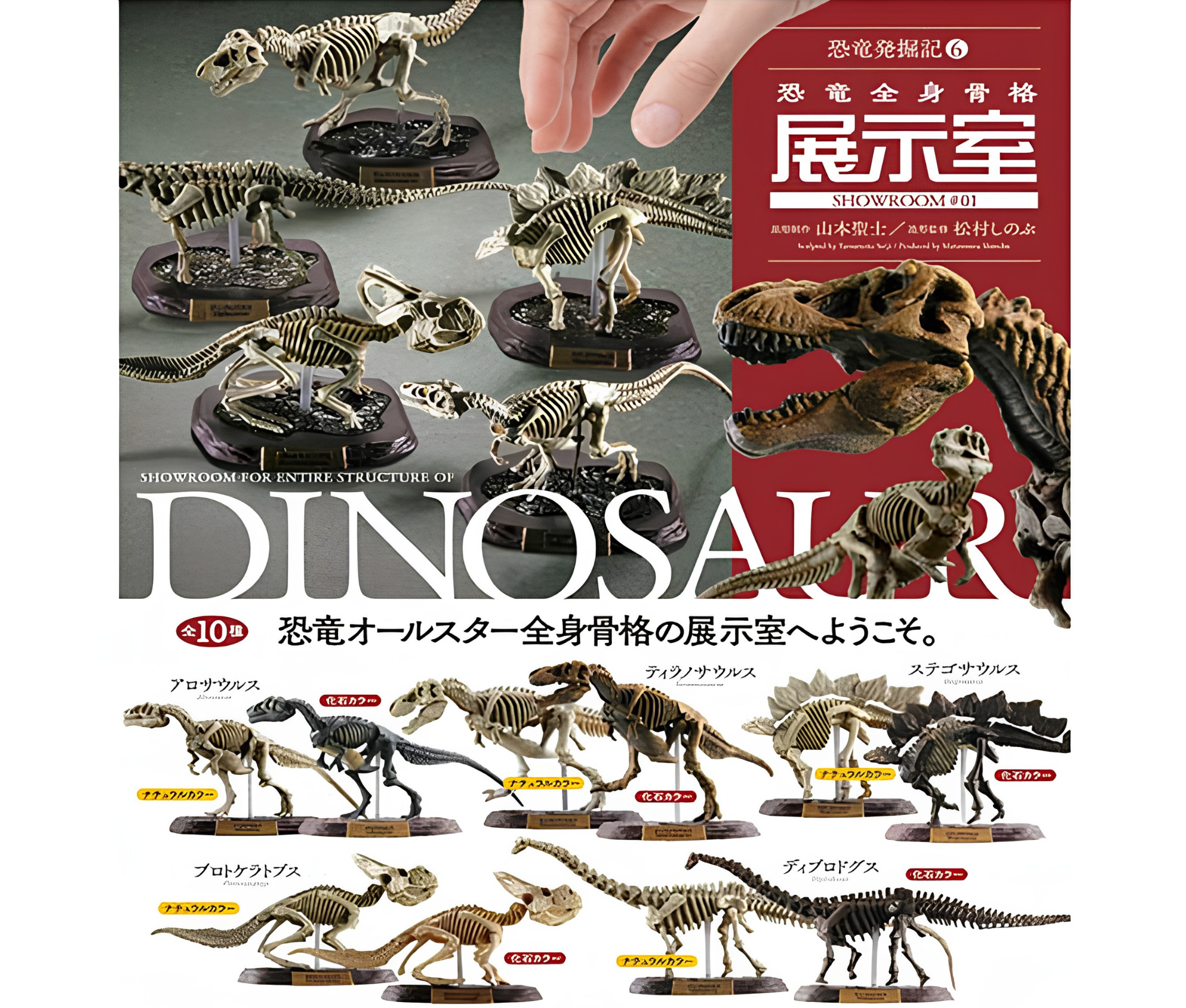 【9月予約】恐竜発掘記6 恐竜全身骨格展示室［全10種セット］