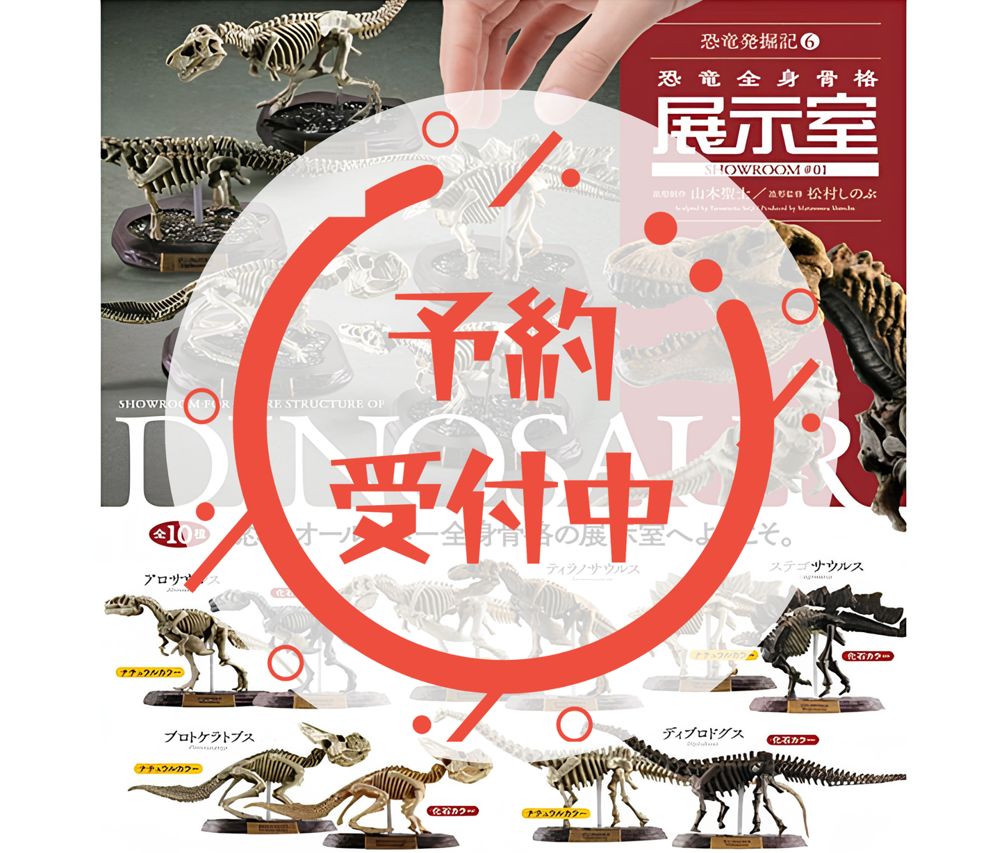 【9月予約】恐竜発掘記6 恐竜全身骨格展示室［全10種セット］