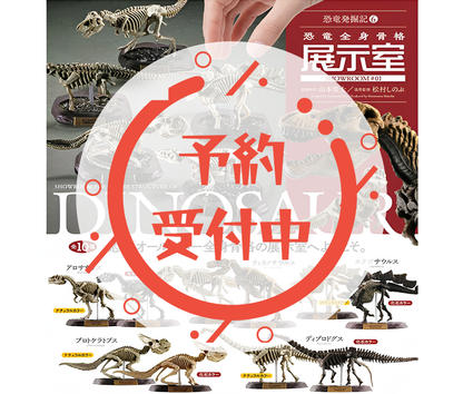 【9月予約】恐竜発掘記6 恐竜全身骨格展示室［全10種セット］