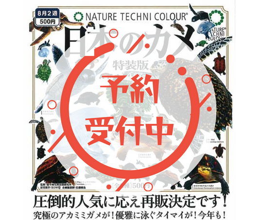 【9月予約】ネイチャーテクニカラー 日本のカメ 特装版［全6種セット］