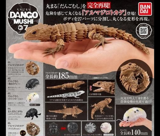 だんごむし 07 だんごむしとアルマジロトカゲ［全5種セット］
