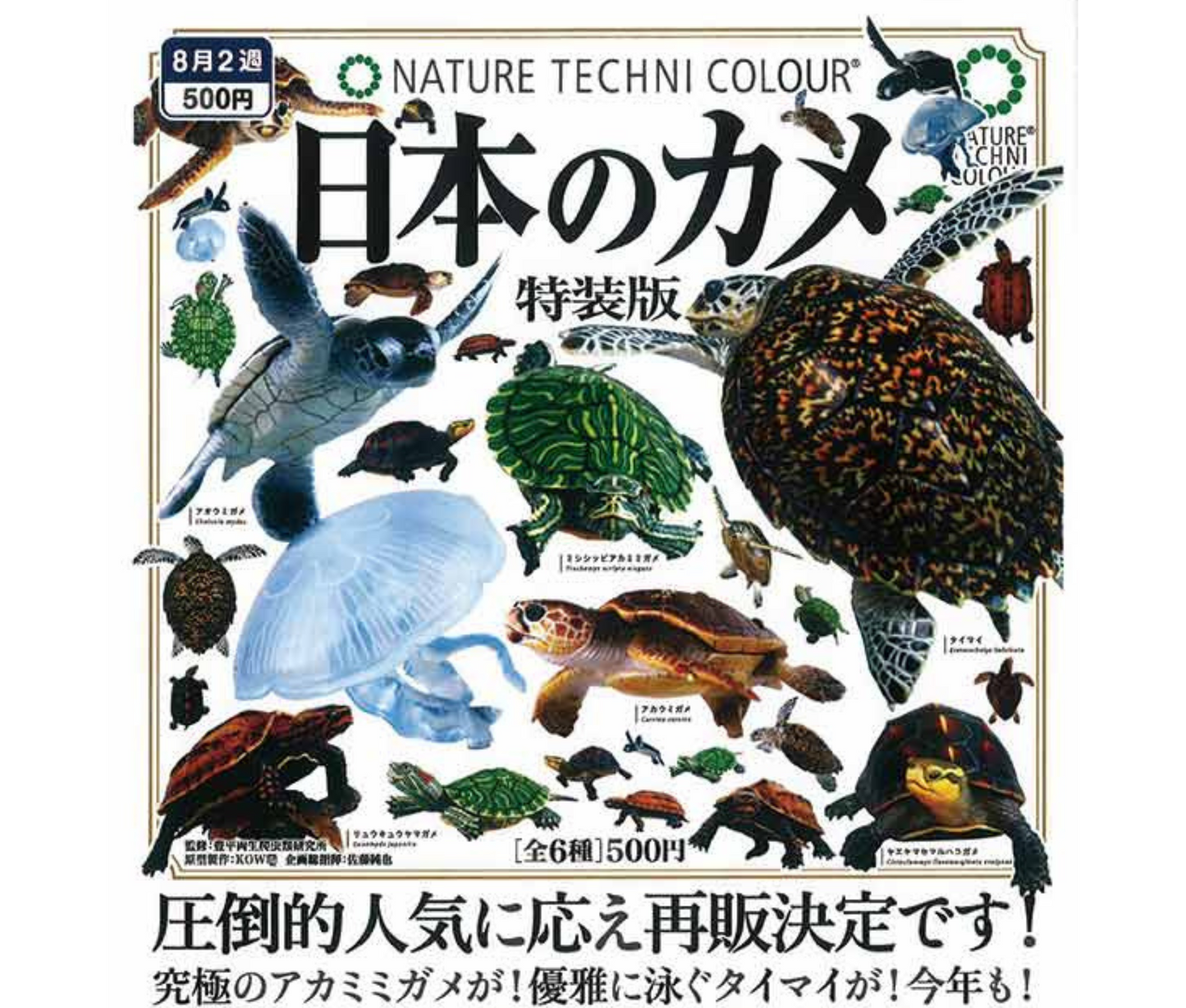 【9月予約】ネイチャーテクニカラー 日本のカメ 特装版［全6種セット］