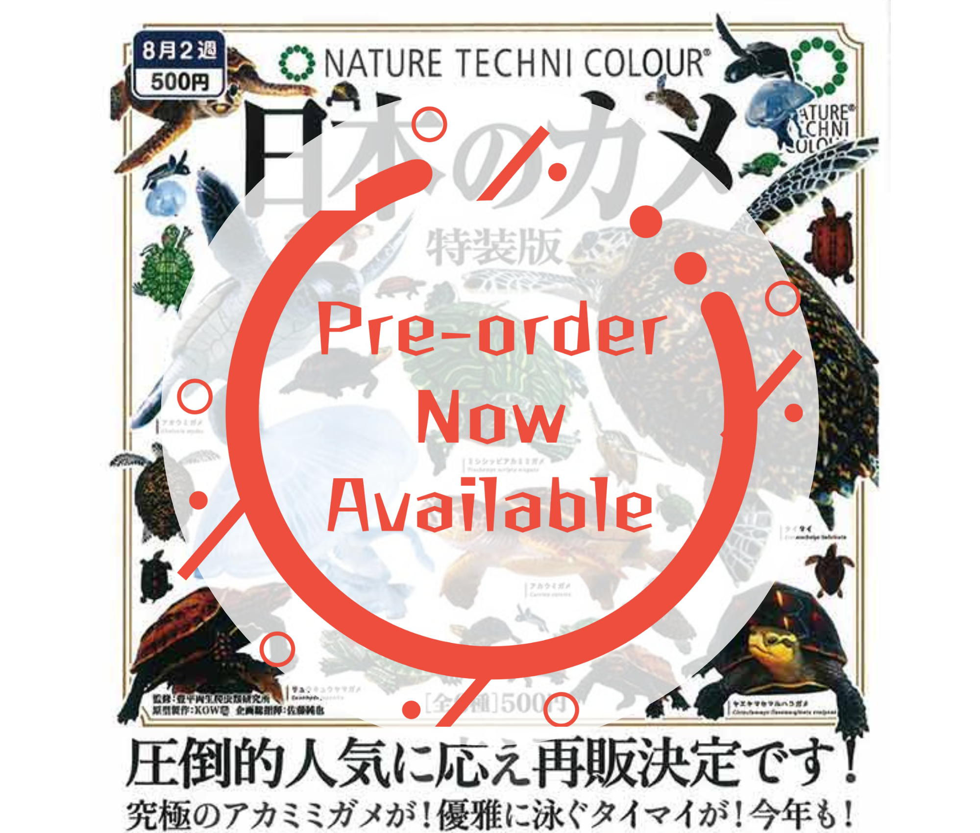 [Sep Pre-order] Nature Technicolor Japanese Turtle Special Edition [Complete Set of 6] 