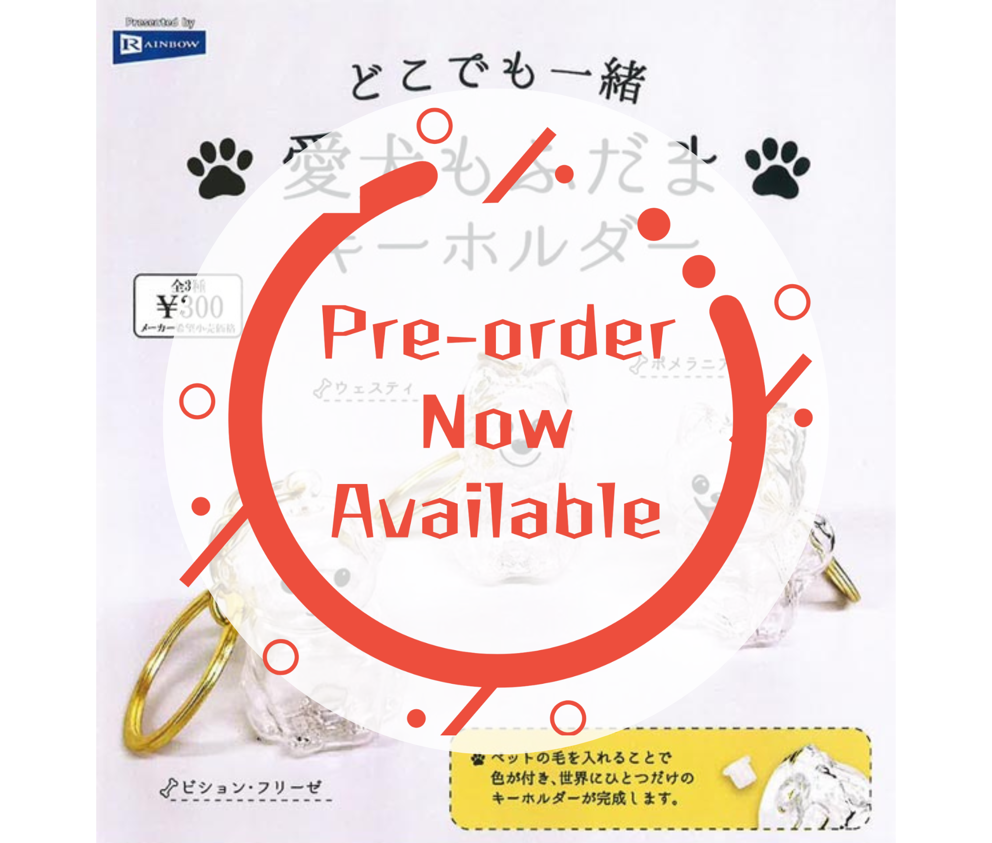 [Dec Pre-order] Dokodemo Issho Pet Dog Mofudama Key Holder [Complete Set of 3]