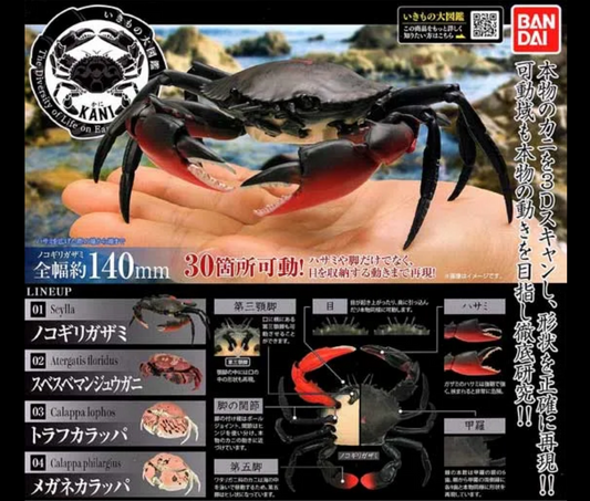 いきもの大図鑑 かに［全4種セット］