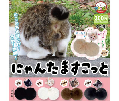 【10月予約】にゃんたますこっと［全5種セット］