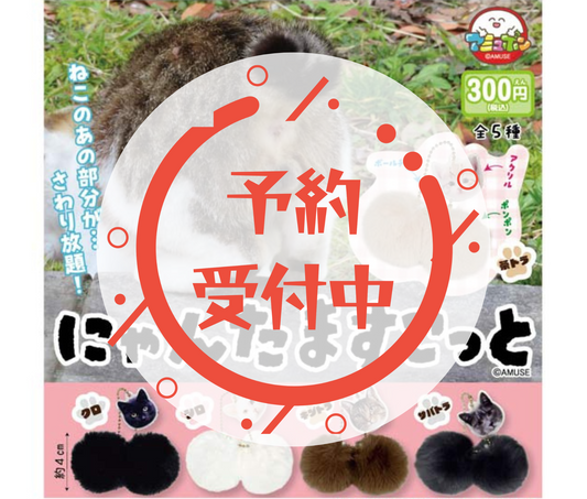 【10月予約】にゃんたますこっと［全5種セット］