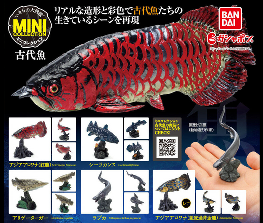 いきもの大図鑑ミニコレクション　古代魚［全5種セット］