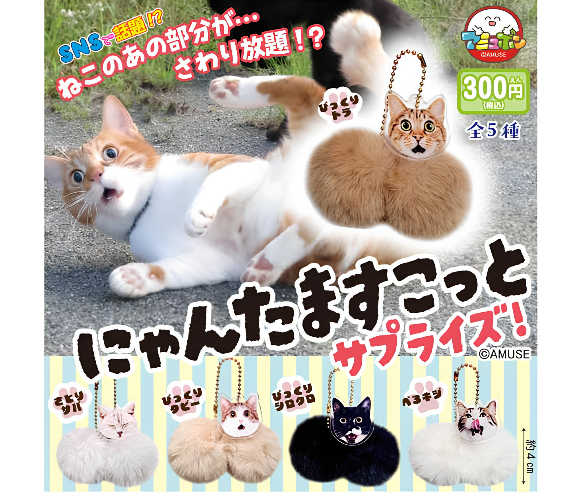 【9月予約】にゃんたますこっとサプライズ［全5種セット］