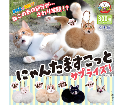 【9月予約】にゃんたますこっとサプライズ［全5種セット］