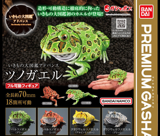 いきもの大図鑑アドバンス　ツノガエル［全4種セット］