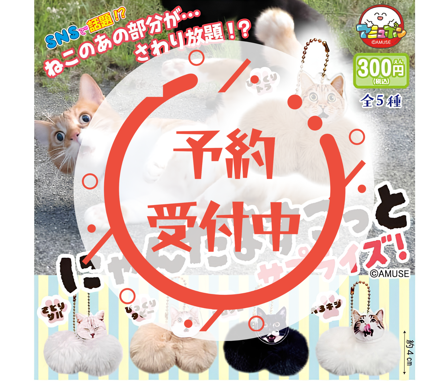 【9月予約】にゃんたますこっとサプライズ［全5種セット］