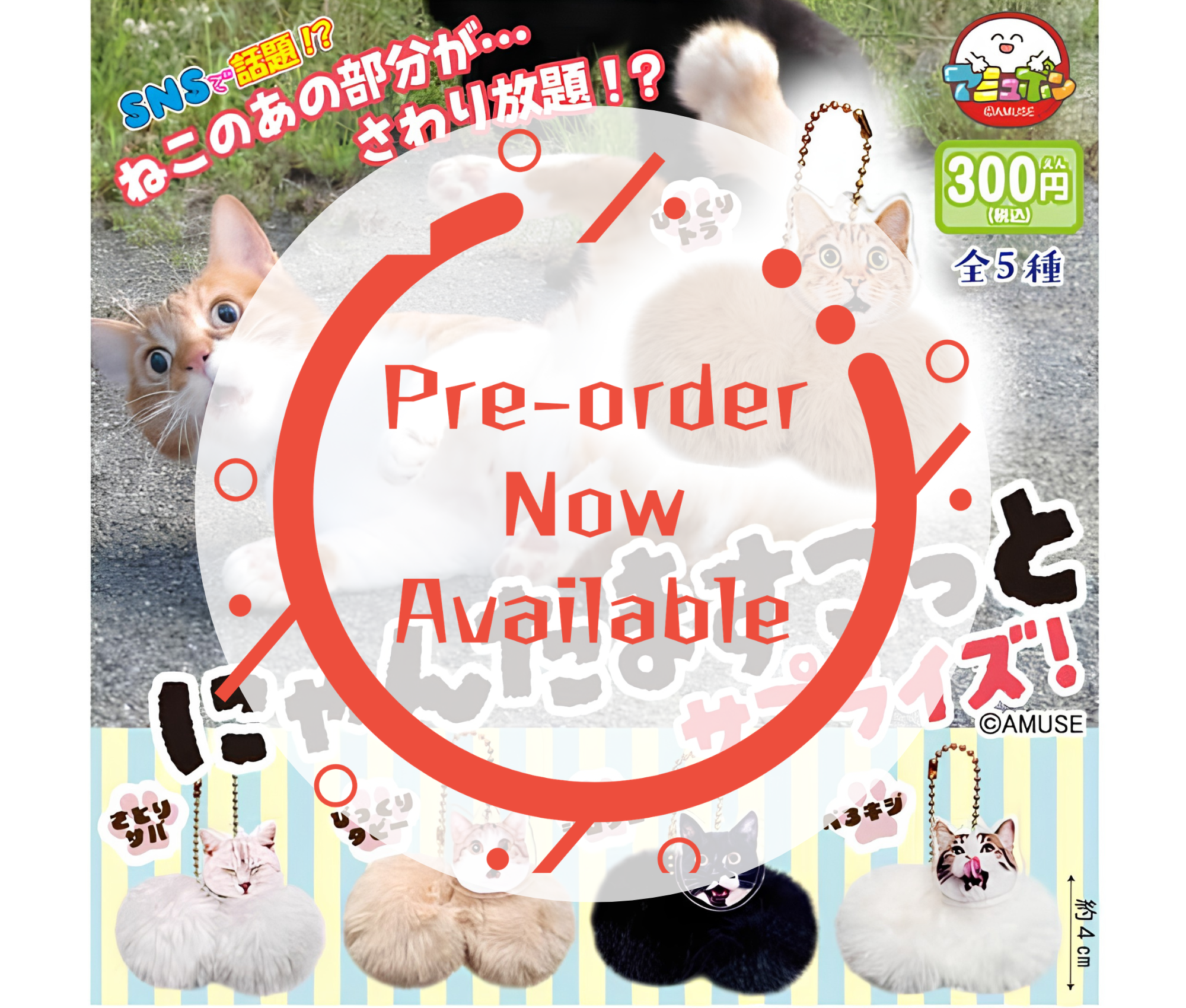 【9月予約】にゃんたますこっとサプライズ［全5種セット］