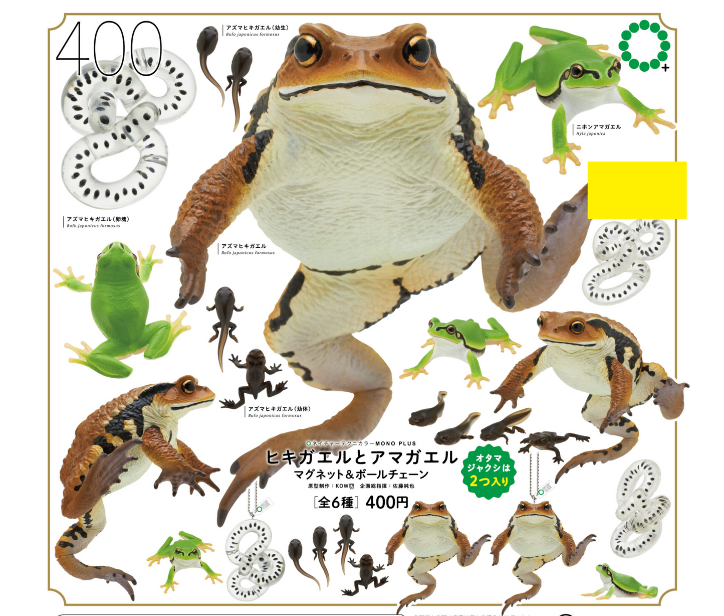 ヒキガエルとアマガエル マグネット＆ボールチェーン [全6種セット]
