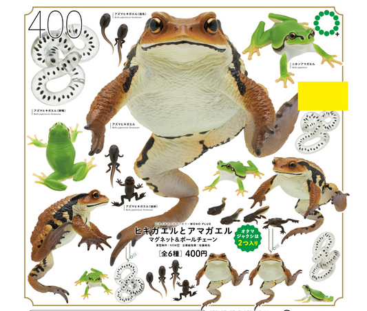 ヒキガエルとアマガエル マグネット＆ボールチェーン [全6種セット]