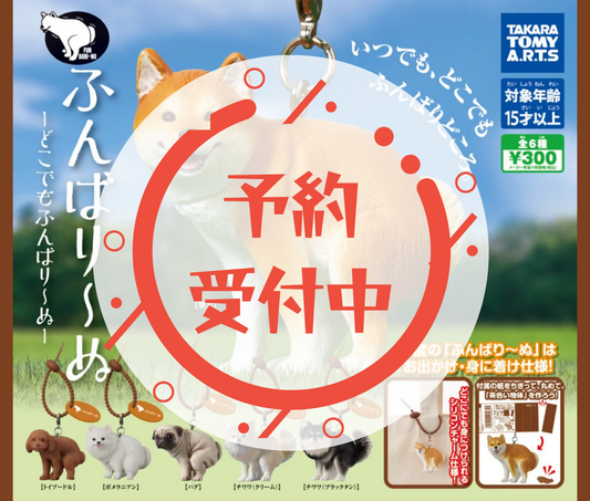 【10月予約】ふんばり～ぬ-どこでもふんばり～ぬ-［全6種セット］