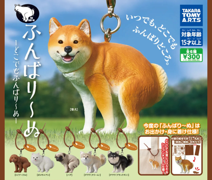 【10月予約】ふんばり～ぬ-どこでもふんばり～ぬ-［全6種セット］