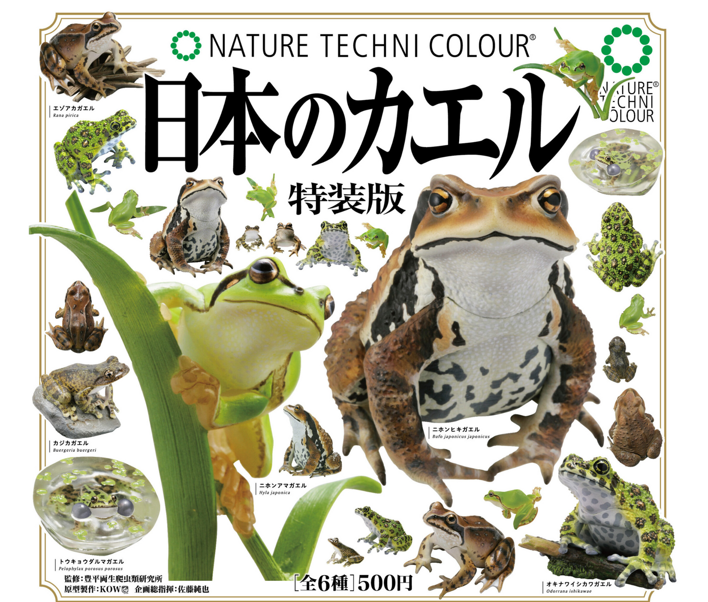 日本のカエル 特装版［全6種セット］
