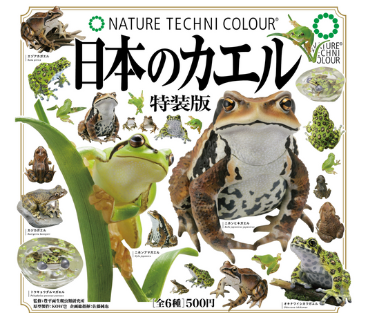 日本のカエル 特装版［全6種セット］