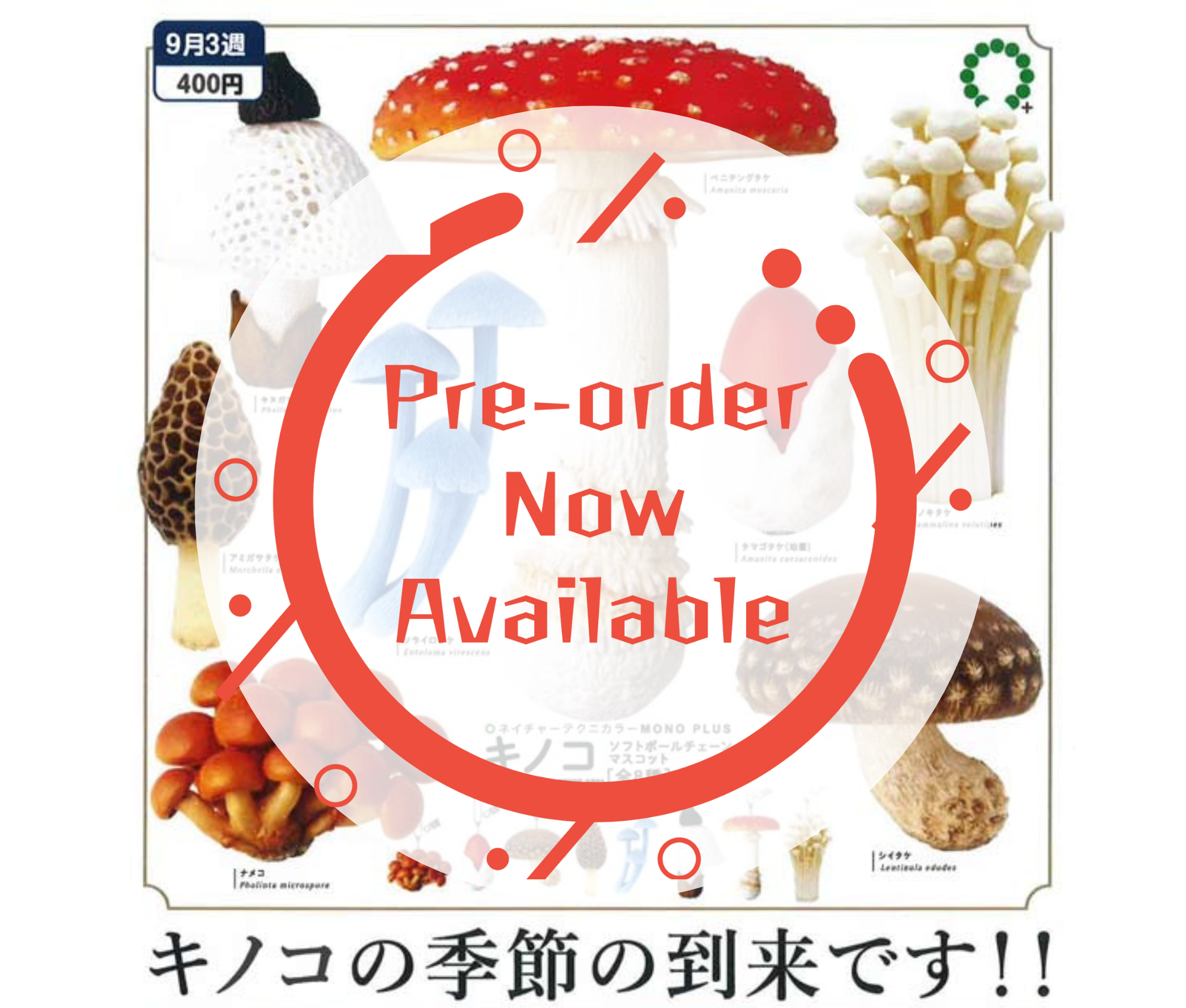 [Oct Pre-order] NTC MONO+ Mushroom Soft Ball Chain Mascot [Complete Set of 8]