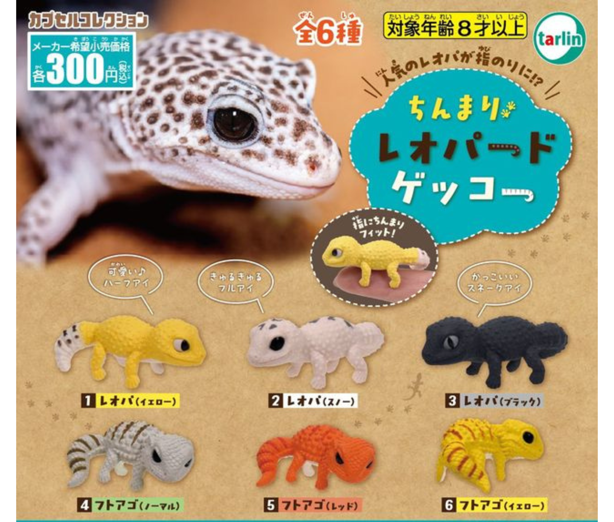 【6月予約】ちんまりレオパードゲッコー［全6種セット］
