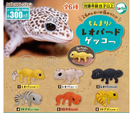 ちんまりレオパードゲッコー［全6種セット］