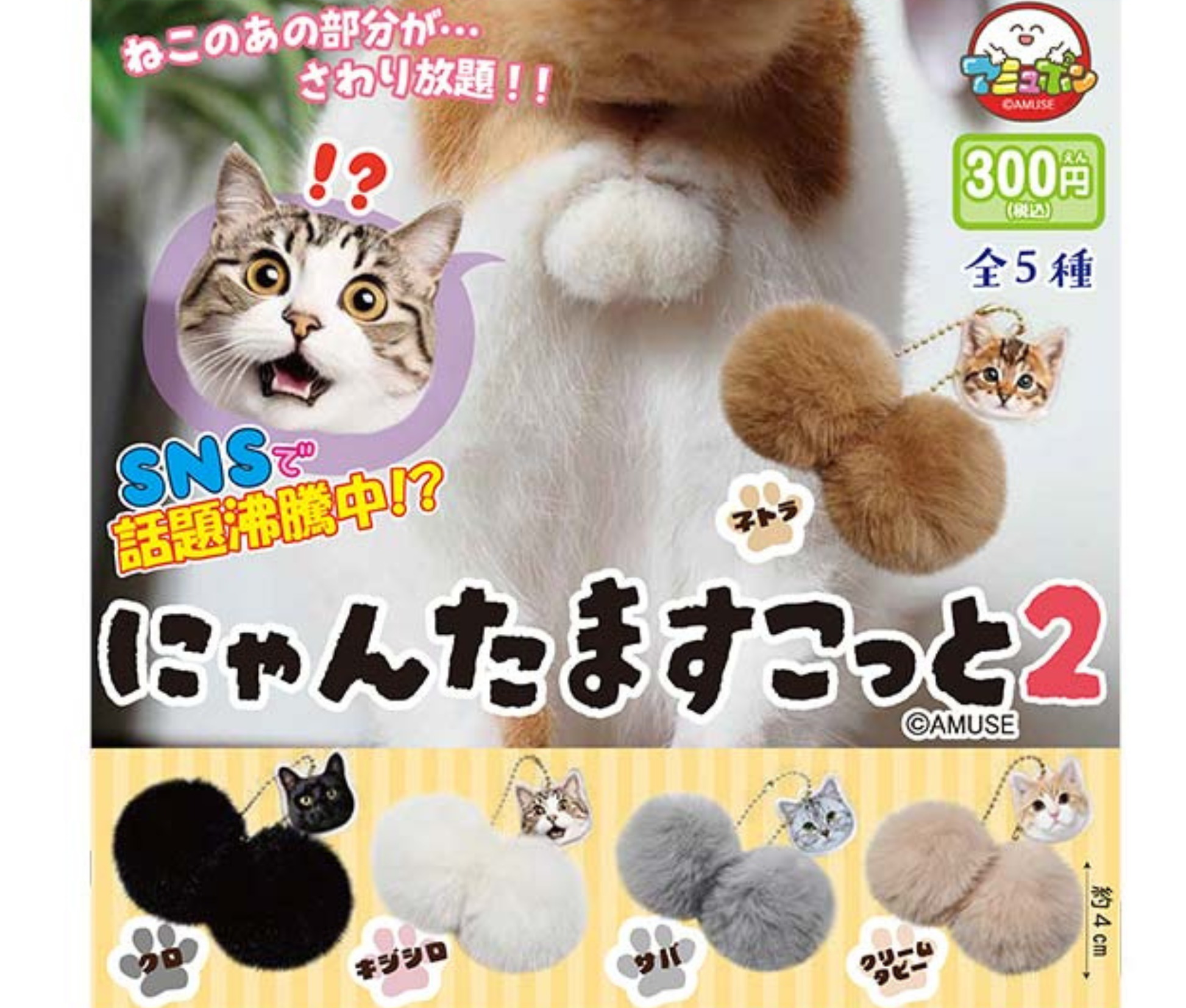 にゃんたますこっと2［全5種セット］ – ガチャ蔵 -GACHAZOU-