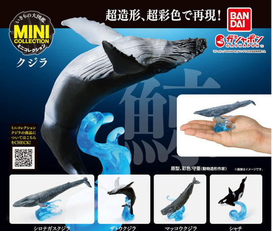 いきもの大図鑑ミニコレクション クジラ［全4種セット］