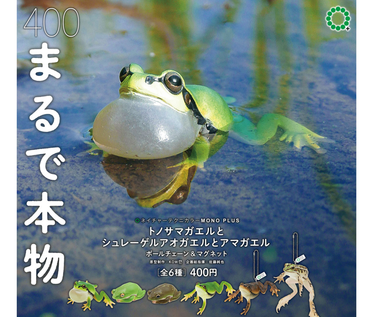 トノサマガエルとシュレーゲルアオガエルとアマガエル ボールチェーン＆マグネット［全6種セット］