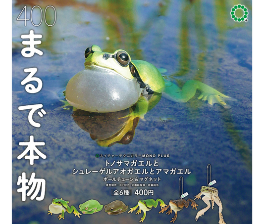 トノサマガエルとシュレーゲルアオガエルとアマガエル ボールチェーン＆マグネット［全6種セット］