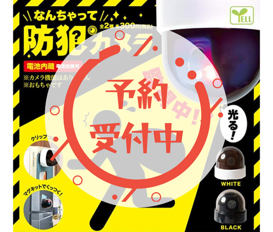 [Jul Pre-order]Fake Security Camera[Complete Set of 2]